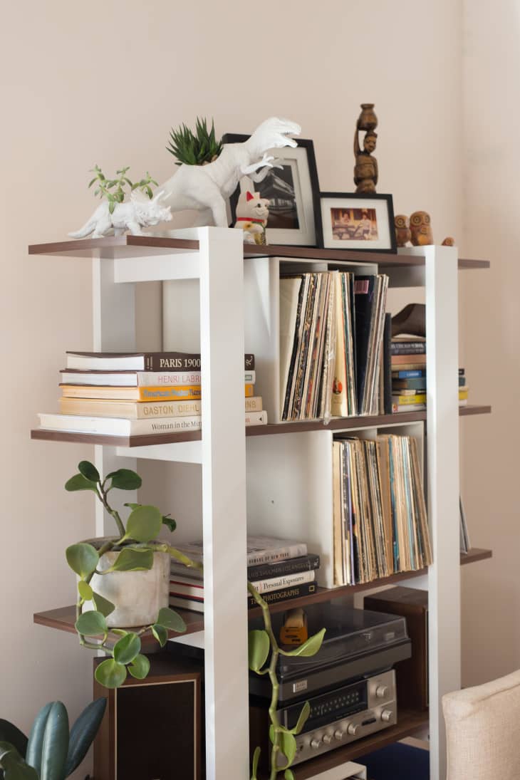 How to Style a Bookshelf with Plants Apartment Therapy